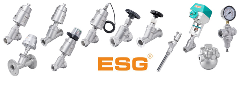 ESG, process valves, stainless steel, SS304, SS316, SUS304, SUS316, CF8, CF8M, PTFE, 1/2